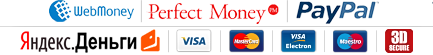 WebMoney, Perfect Money, PayPal, Yandex.Money, Visa, Mastercard